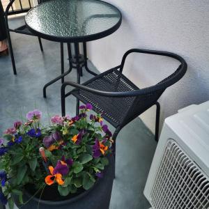 Feels like home - Jauku kaip namuose