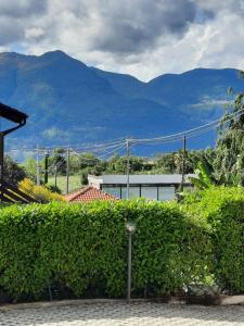 Appartamento IL Tulipano