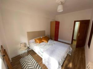 Amplio alojamiento guerrilleros centro