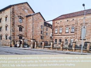 VÍCHOVA VILA_1935 - funkcionalistický skvost v Hořicích v Podkrkonoší