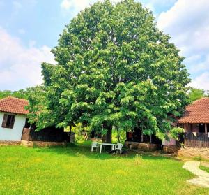 Vegimir, vegansko etno selo Vrbeta