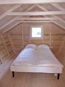 Fkk Adriatika in FKK Solaris Naturist Resort