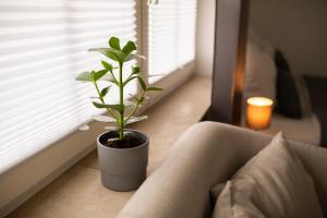 HUGOS Studio Apartment