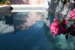 Villas Maison atypique proche Luberon et Avignon : photos des chambres