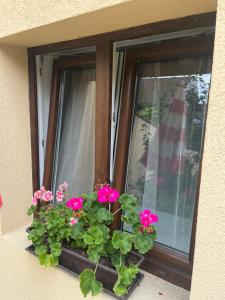 Kerti franciaágyas apartman