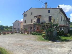 ReginaSerena - Vico dʼElsa