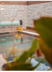 L'Orchidée - Le Fond de Maurice