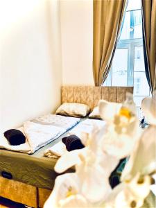 Budget Private Rooms in 8-Bedroom Apartment with Terrace
