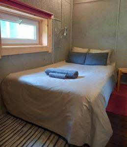 Vastseliina Metskond Camping