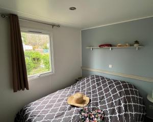 Campings Camping le Relais du Leman : photos des chambres