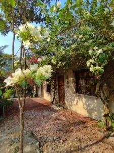 Yaxlik River Lodge - Soselá