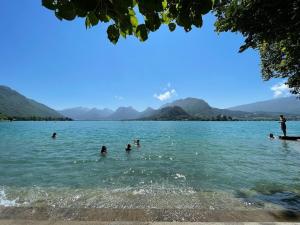 Appartements Appartement avec Jardin & vue Lac Talloires (15' Annecy) : photos des chambres