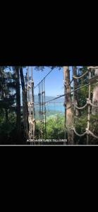 Appartements Appartement avec Jardin & vue Lac Talloires (15' Annecy) : photos des chambres