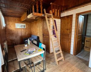 Campings Camping le Relais du Leman : Chalet
