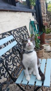 B&B / Chambres d'hotes La grange : photos des chambres