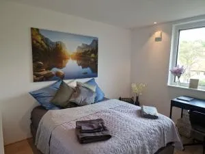 Stadtnahes Gästezimmer im Penthouse bei Esi - Kusterdingen