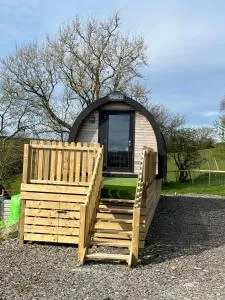 Carmel Pod - 格夫塞林