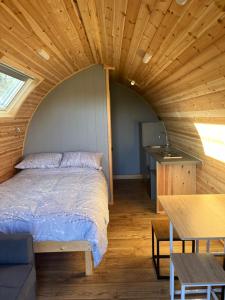 Carmel Pod-Eco