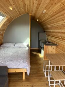 Carmel Pod-Eco