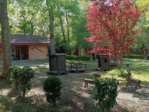 Campings Camping le Relais du Leman : photos des chambres