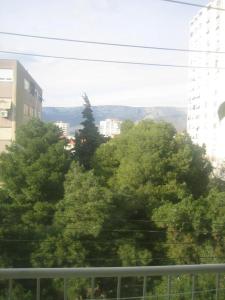 Aurora Room Near City Center