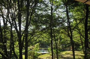 Bosque Encantado Cabañas