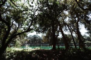Hotels Hotel Les Fougeres - Hossegor : photos des chambres