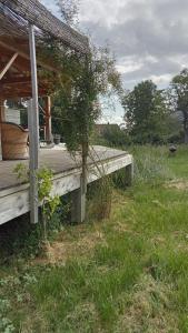 loiseau rieur