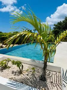 Villa Tropical Heaven - Terres Basses - Lowlands