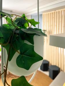 Marqués 7 Studio by VigoVacaciones