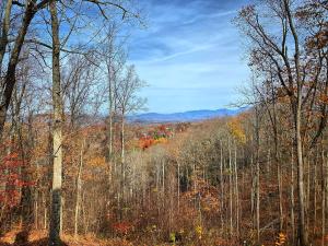 Edens Ridge is a charming two bedroom log cabin nestled in Sky Harbor minutes from town
