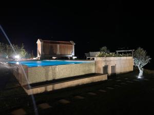 House with saltwater pool - Charming in the Douro Valley