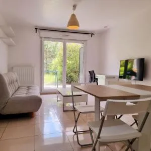 T2 Paris Disneyland Jardin Parking - 马恩河畔布里