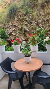 Luxury Rooms by Lika