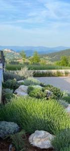 Villa Cypress Hill 