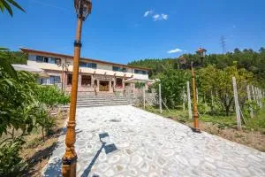 Hani i Taulant Shahinit - Grabovë e Tyrk