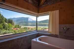 Hani i Taulant Shahinit