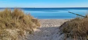 Ferienhaus Am Dünenwald - Klein Gelm