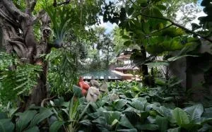 The Nature - Phum Pobos