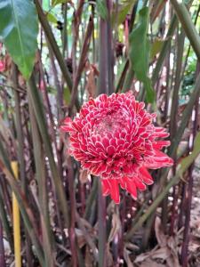 2 bedroom beachside villa