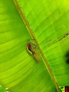 2 bedroom beachside villa