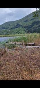 A house in the wilderness