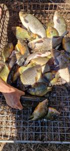 A house in the wilderness