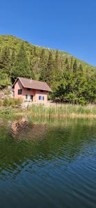 A house in the wilderness