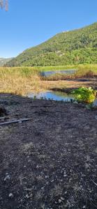 A house in the wilderness