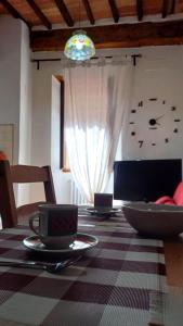 Casina 31