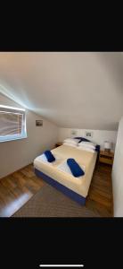 Apartments Ivano