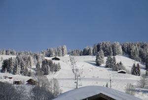 Chalets Chalet de la Marmotte : photos des chambres
