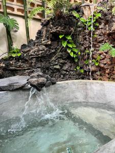 Jungle Oasis - Villa with Private Pool