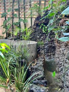 Jungle Oasis - Villa with Private Pool